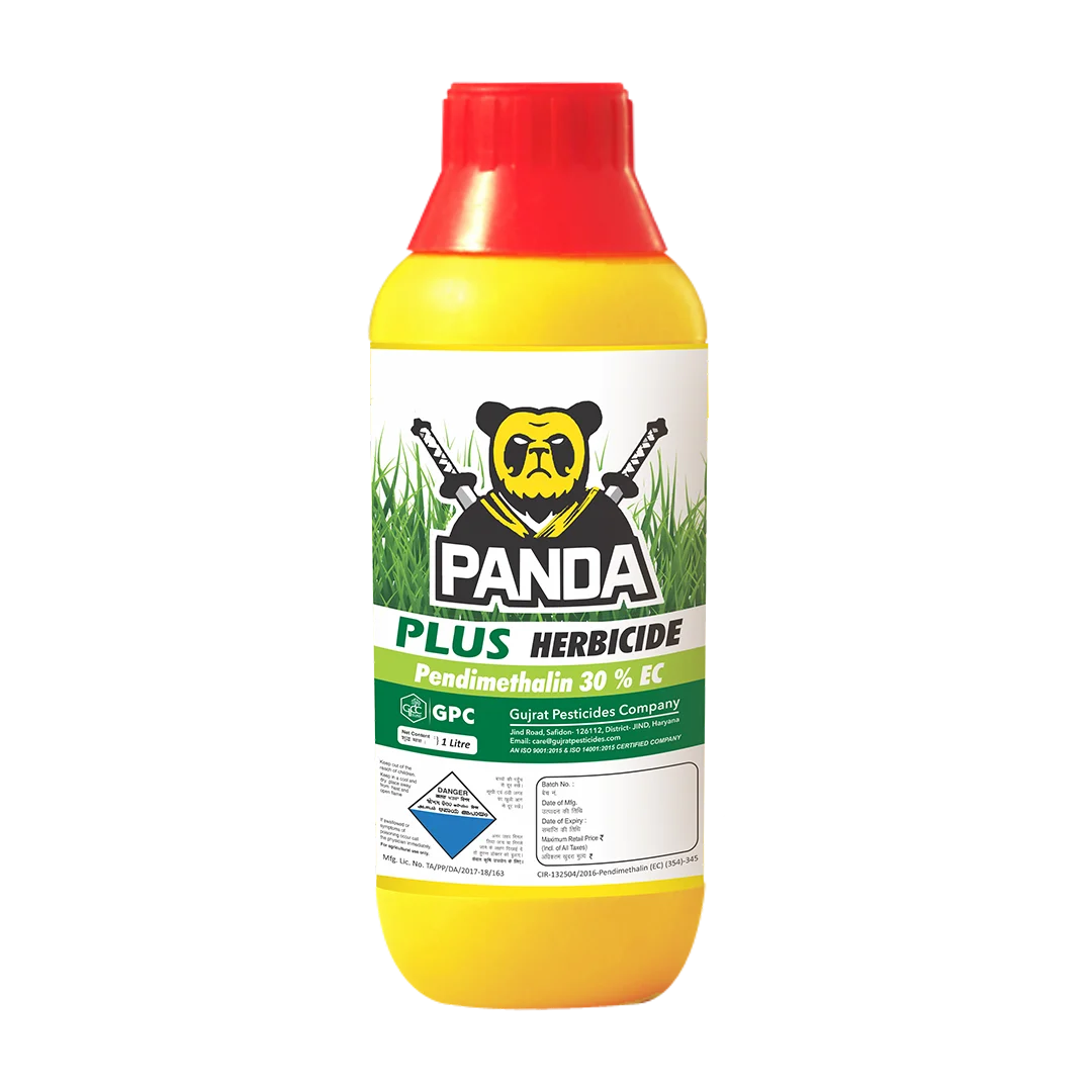PANDA PLUS